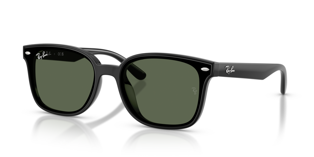 Ray-Ban RB4461D