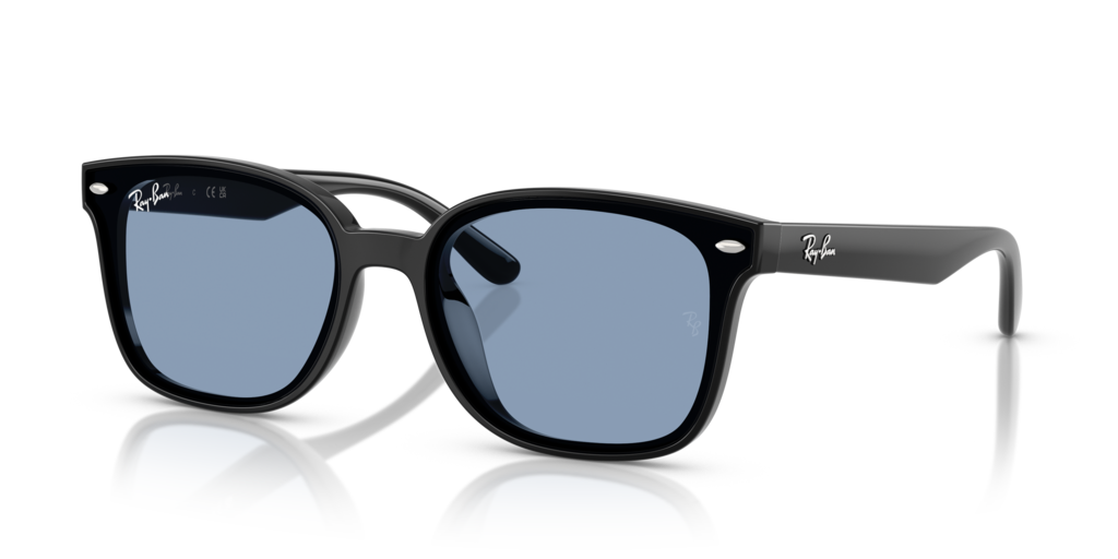 Ray-Ban RB4461D