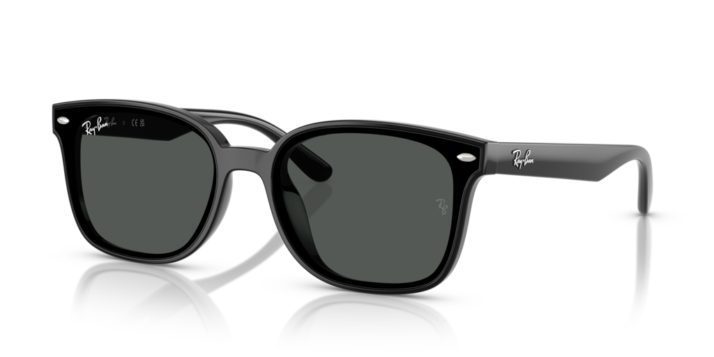 Ray-Ban RB4461D