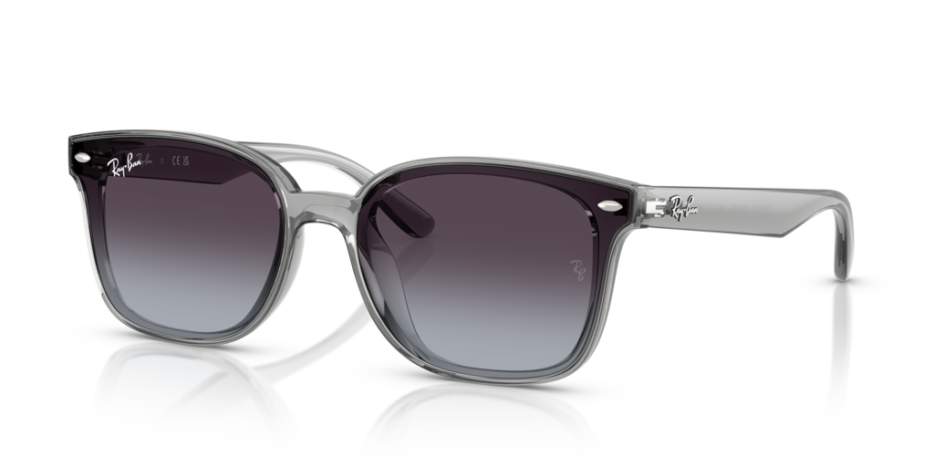 Ray-Ban RB4461D