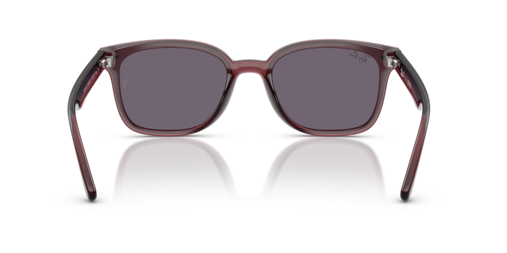 Ray-Ban RB4461D 659373
