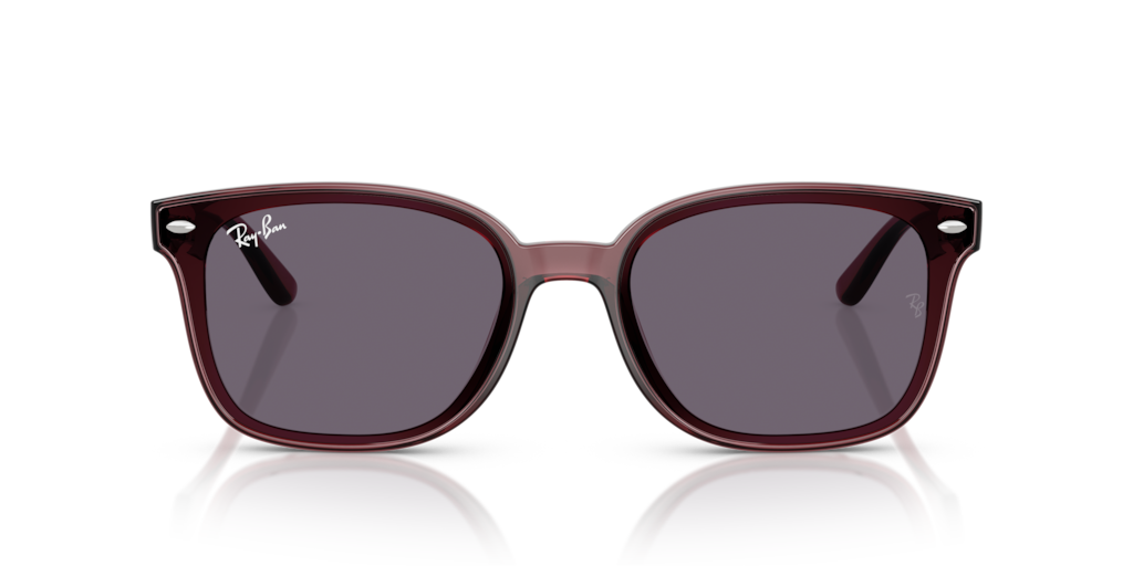Ray-Ban RB4461D 659373