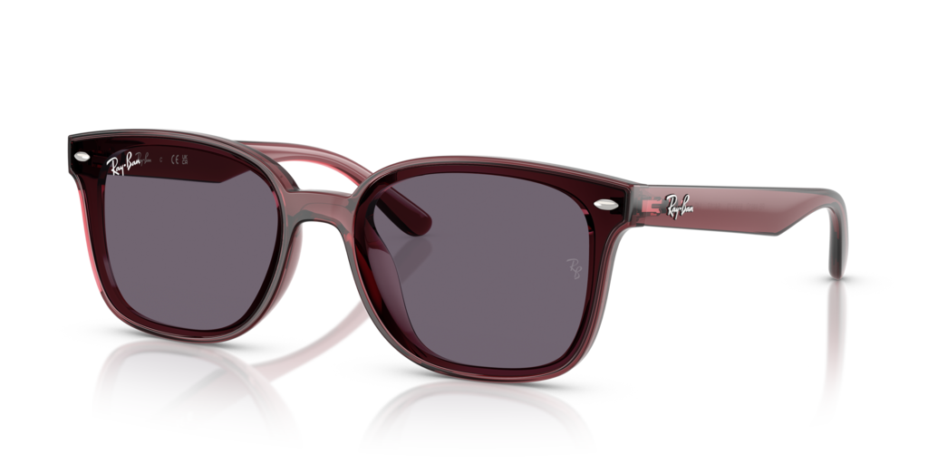 Ray-Ban RB4461D