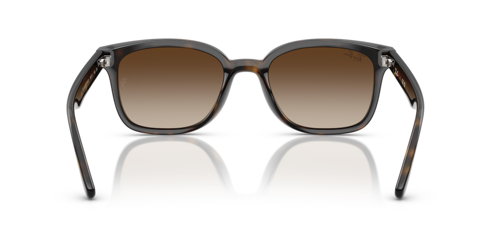 Ray-Ban RB4461D 710/13
