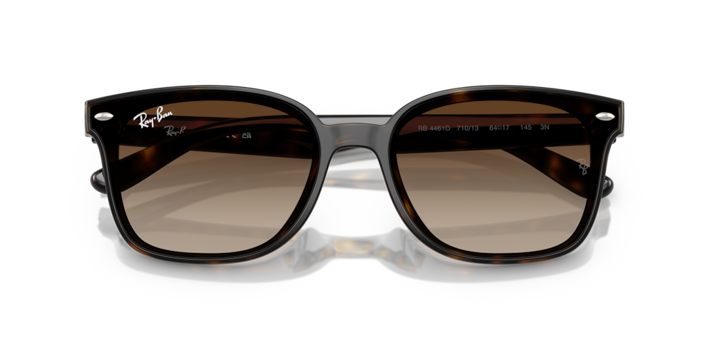 Ray-Ban RB4461D 710/13