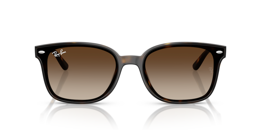 Ray-Ban RB4461D 710/13