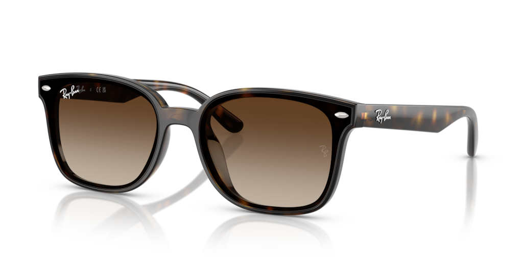 Ray-Ban RB4461D