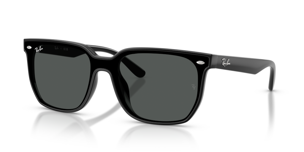 Ray-Ban RB4466D