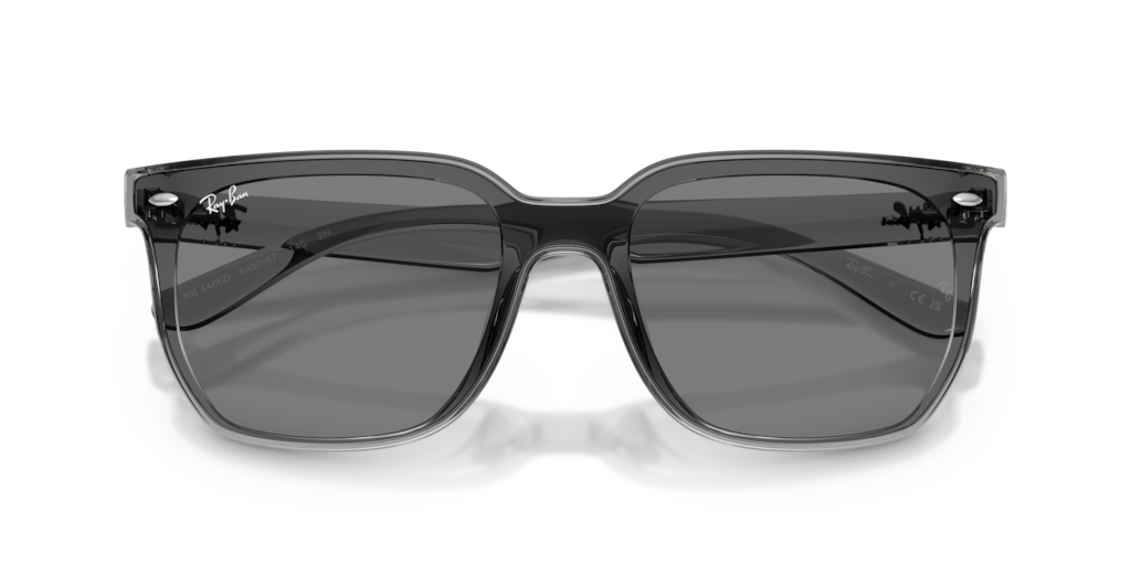 Ray-Ban RB4466D 645087