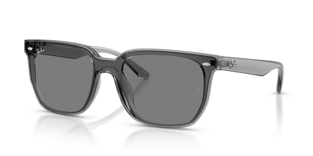 Ray-Ban RB4466D