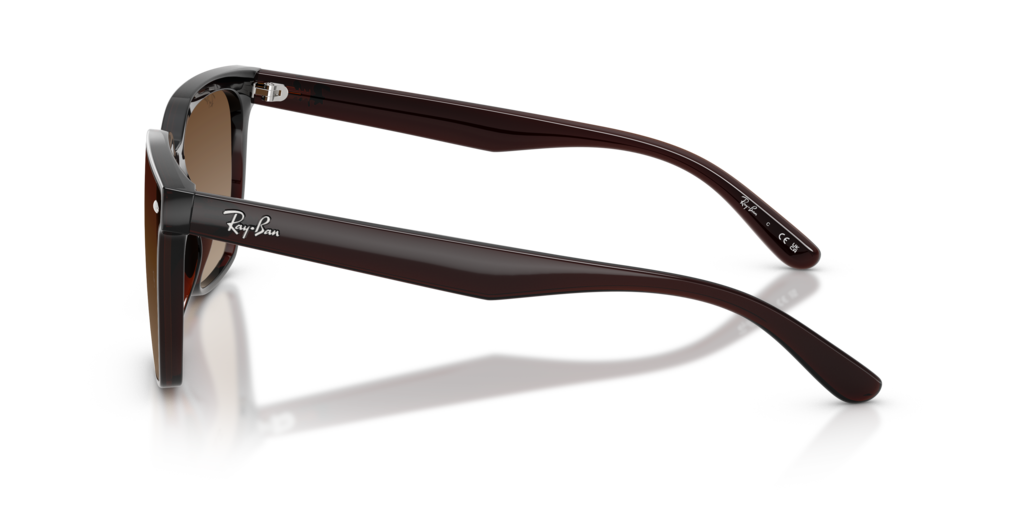 Ray-Ban RB4466D 714/13