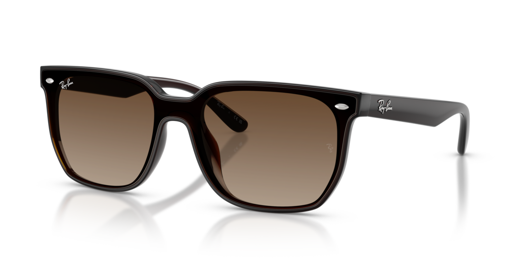 Ray-Ban RB4466D