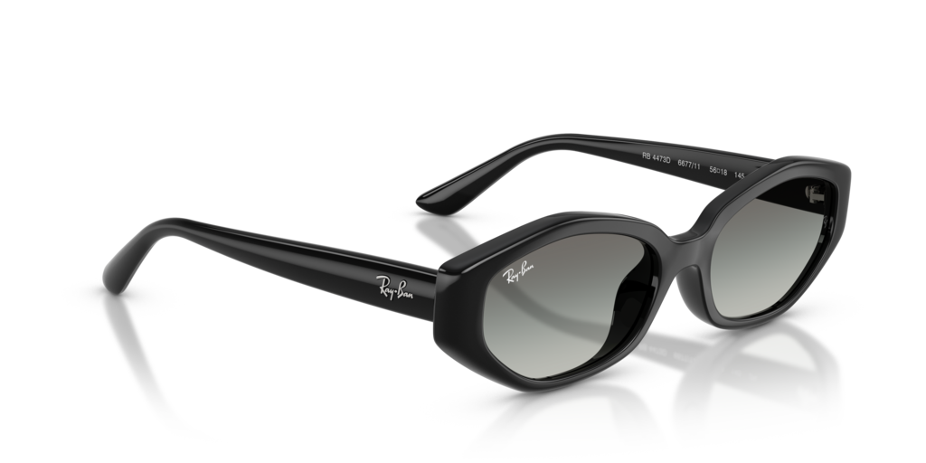 Ray-Ban RB4473D 667711
