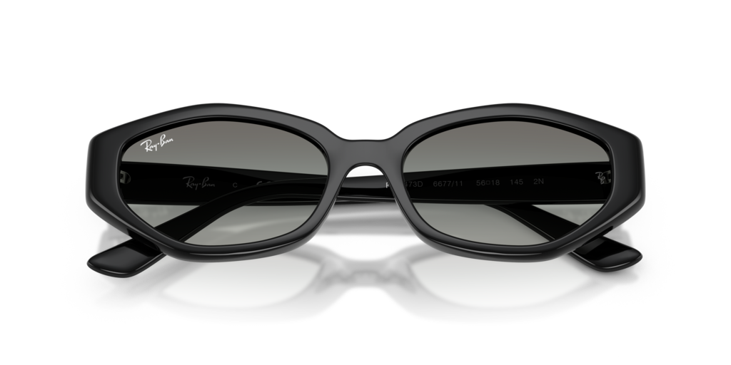 Ray-Ban RB4473D 667711