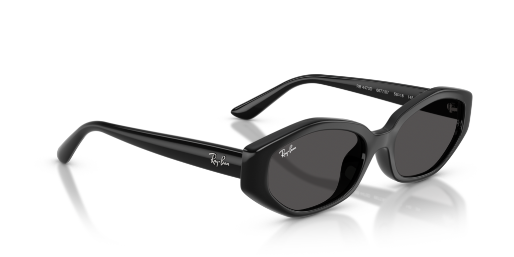 Ray-Ban RB4473D 667787