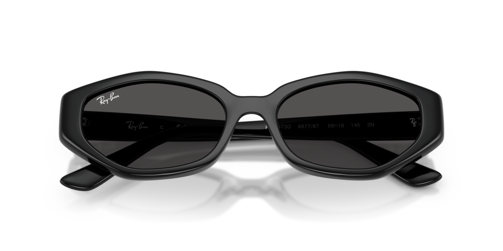 Ray-Ban RB4473D 667787