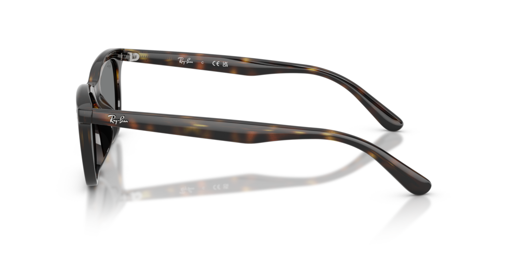 Ray-Ban RB4474D 710/87