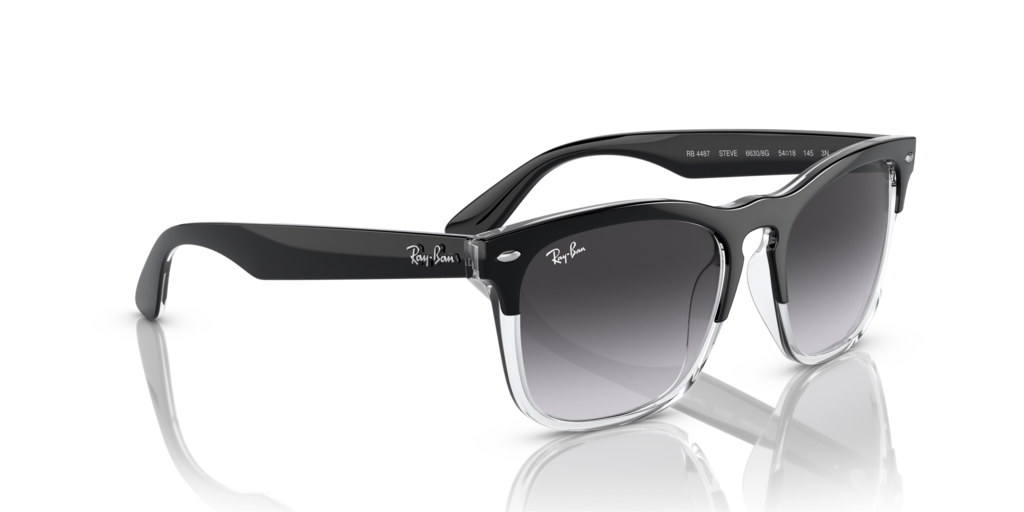 Ray-Ban RB4487 66308G