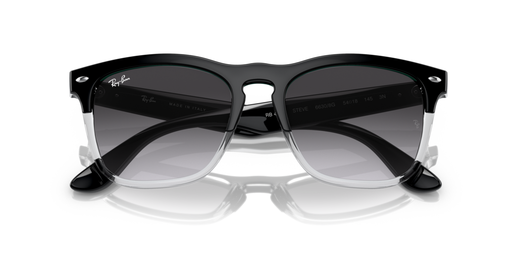 Ray-Ban RB4487 66308G