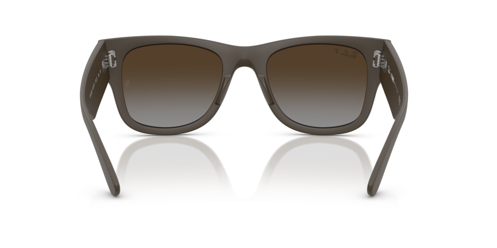 Ray-Ban RB4840S 6124T5