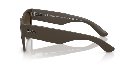 Ray-Ban RB4840S 6124T5