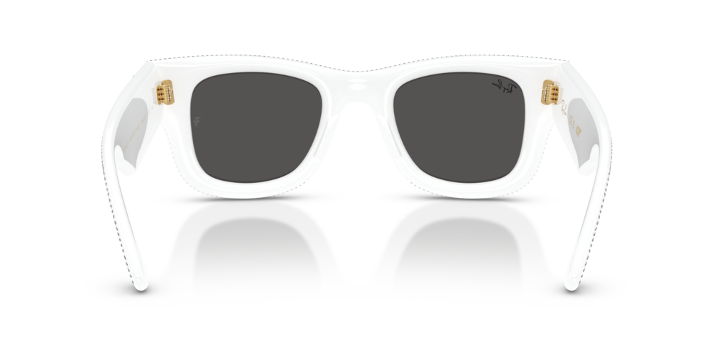 Ray-Ban RB4940BP 686687