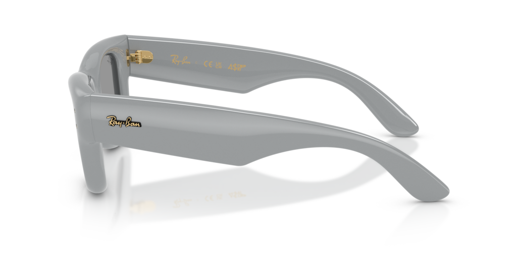 Ray-Ban RB4940 6876/1