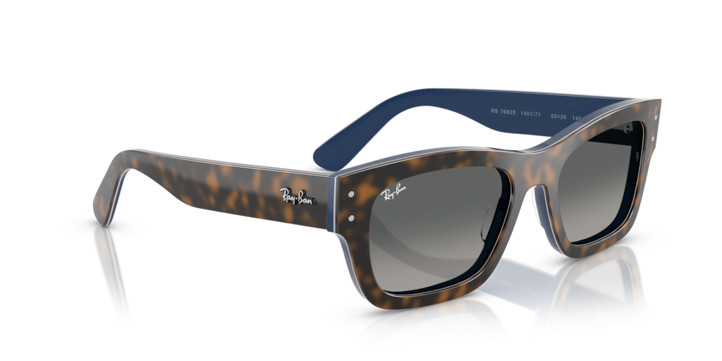 Ray-Ban RB7683S 140171