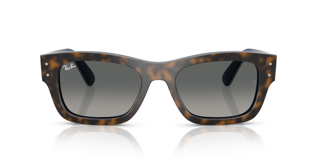 Ray-Ban RB7683S 140171