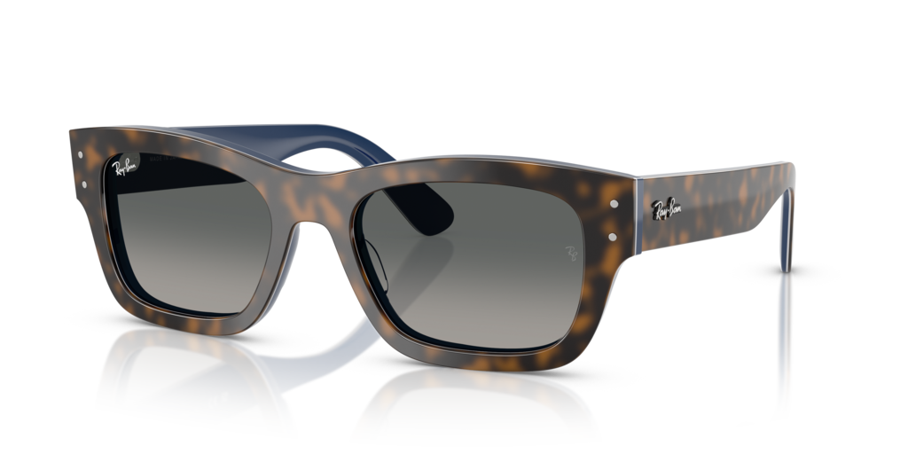 Ray-Ban RB7683S
