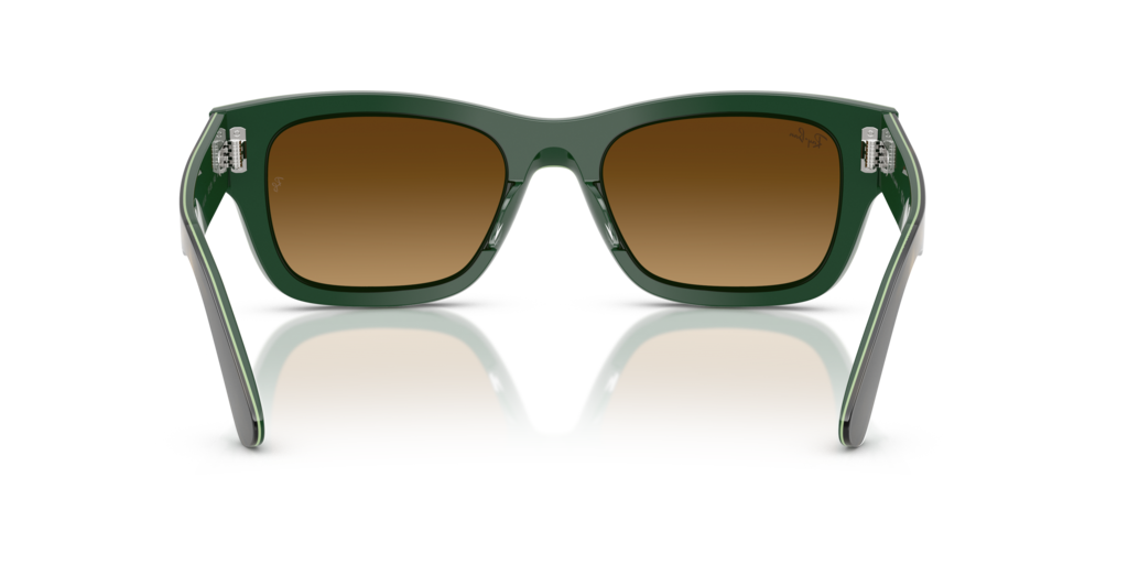Ray-Ban RB7683S 140285
