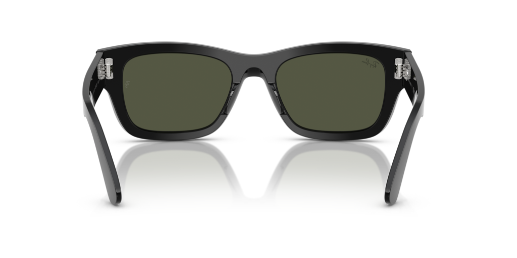 Ray-Ban RB7683S 901/31