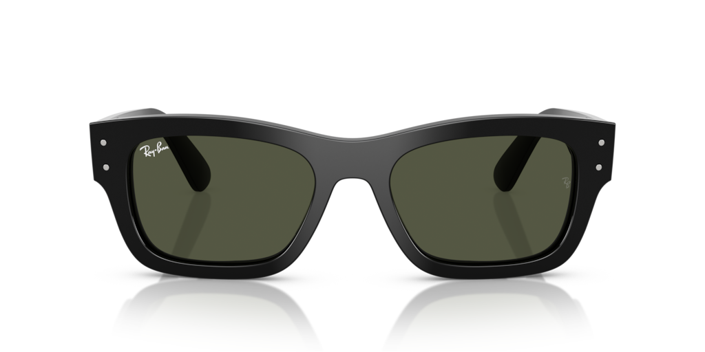 Ray-Ban RB7683S 901/31
