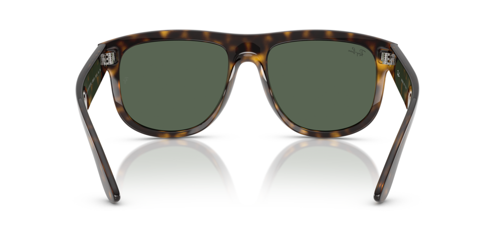 Ray-Ban RBR0501S 6790VR