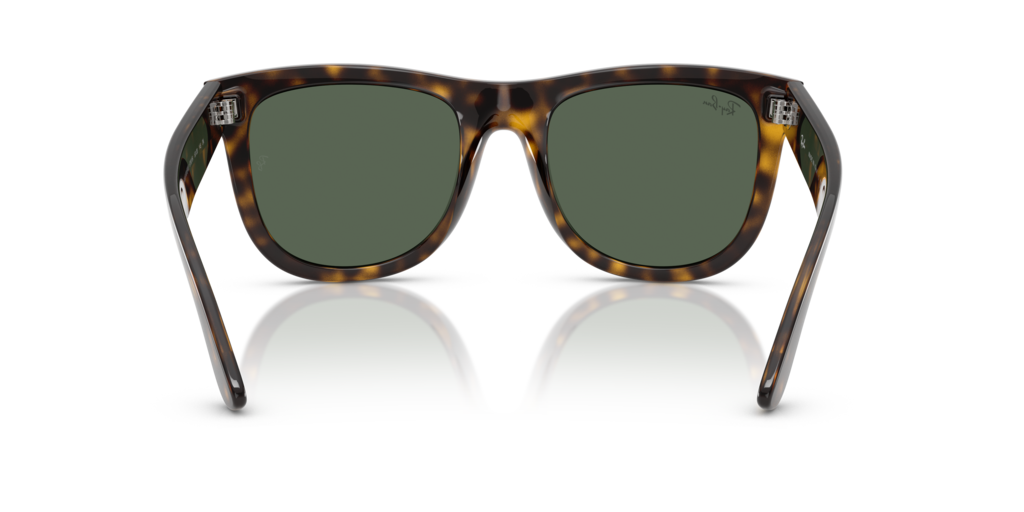 Ray-Ban RBR0502S 6790VR