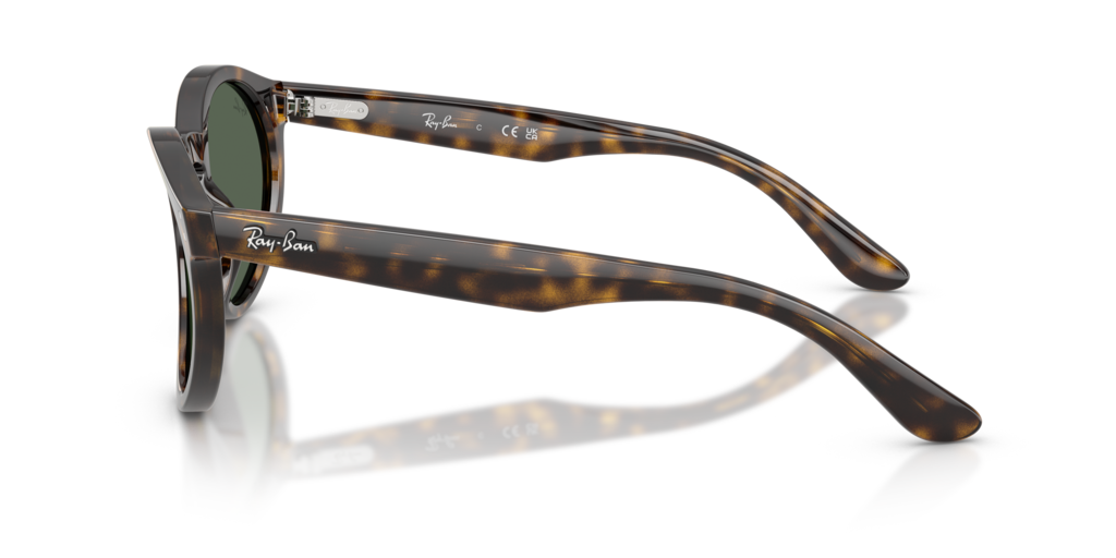 Ray-Ban RBR0505S 6790VR