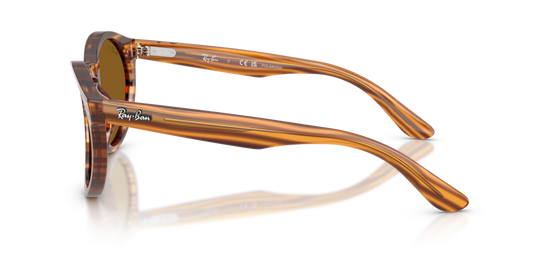 Ray-Ban RBR0505S 679183