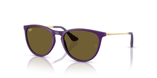 RJ9060S