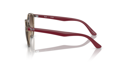 Ray-Ban Junior RJ9064S 712313