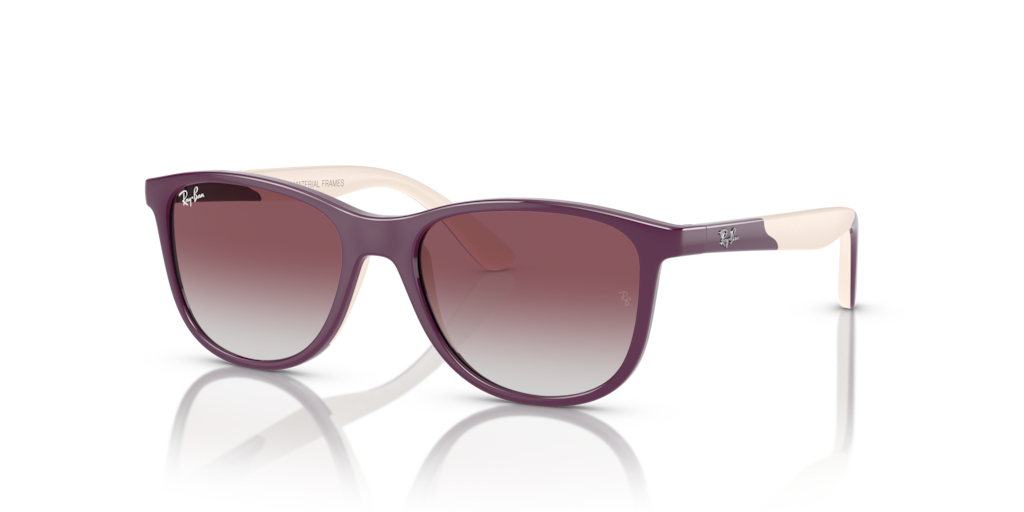 Ray-Ban Junior RJ9077S