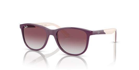 Ray-Ban Junior RJ9077S