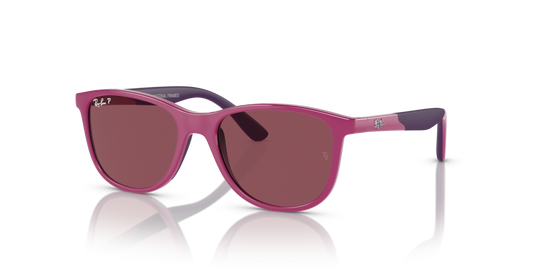Ray-Ban Junior RJ9077S