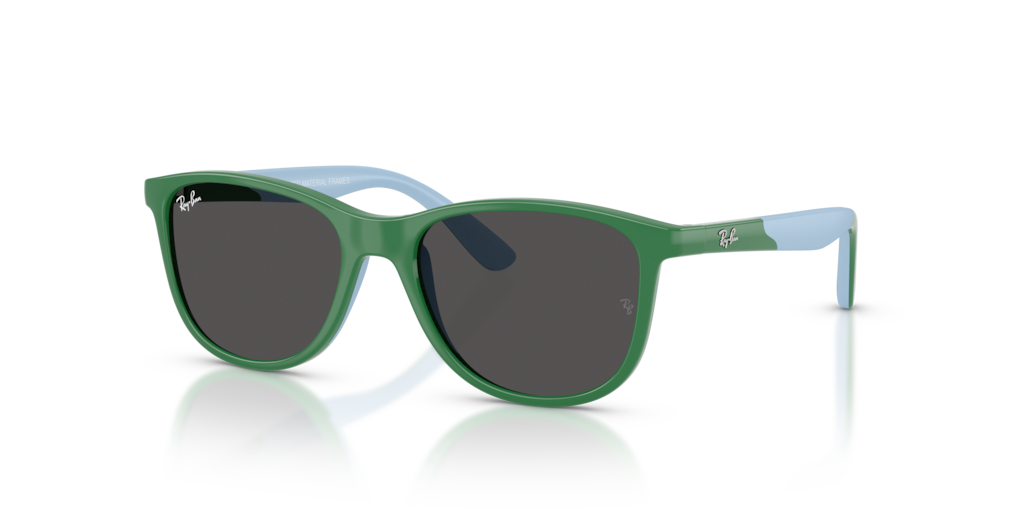 Ray-Ban Junior RJ9077S