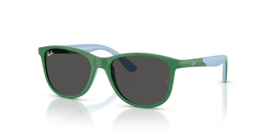 Ray-Ban Junior RJ9077S