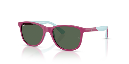 Ray-Ban Junior RJ9077S