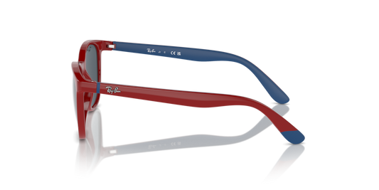 Ray-Ban Junior RJ9079S 716055