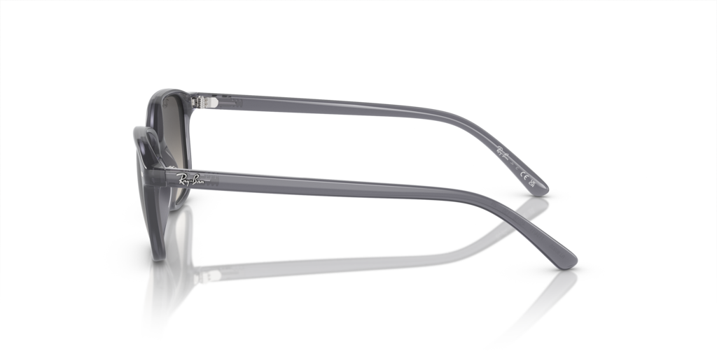 Ray-Ban Junior RJ9093S 713411