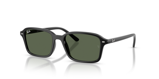Ray-Ban Junior RJ9131S
