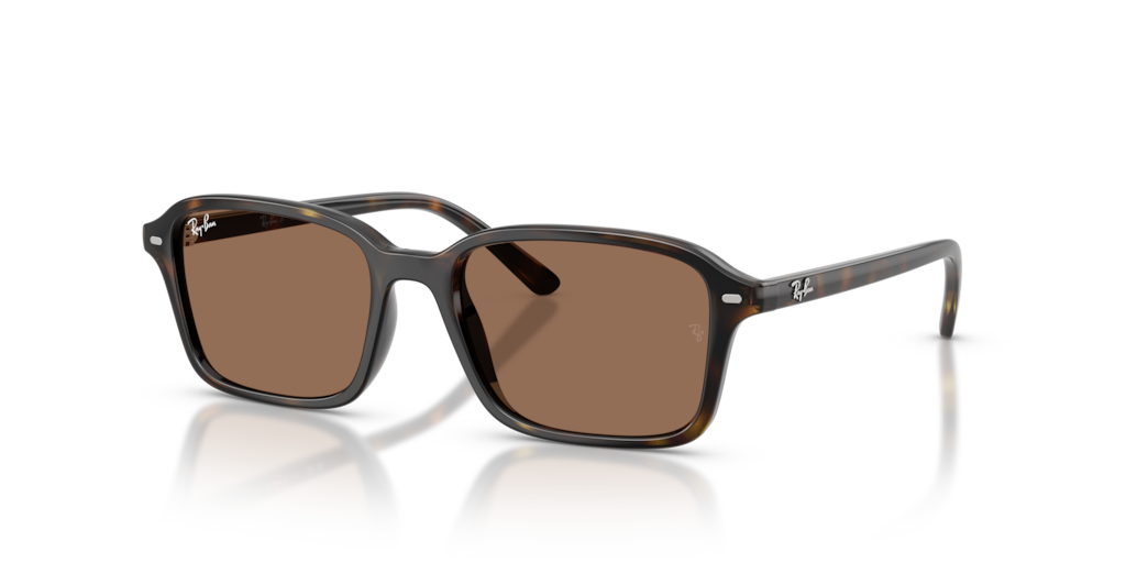 Ray-Ban Junior RJ9131S
