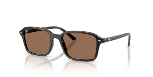 Ray-Ban Junior RJ9131S